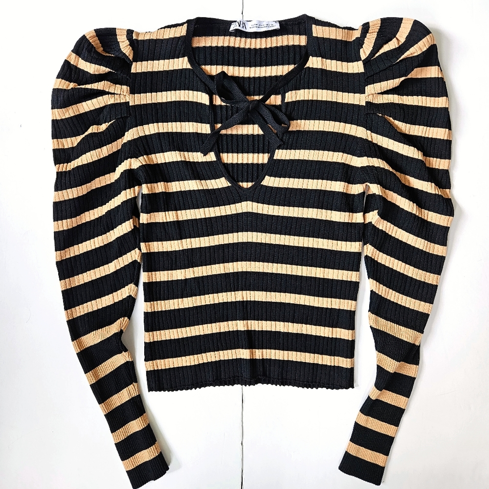 Zara Black and Tan Striped Top